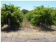 Lot 300 Little Road Vineyard, Willunga SA 5172