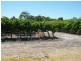 Lot 300 Little Road Vineyard, Willunga SA 5172