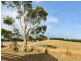 3572 Range Road, Waitpinga SA 5211