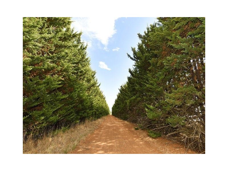 3572 Range Road, Waitpinga SA 5211