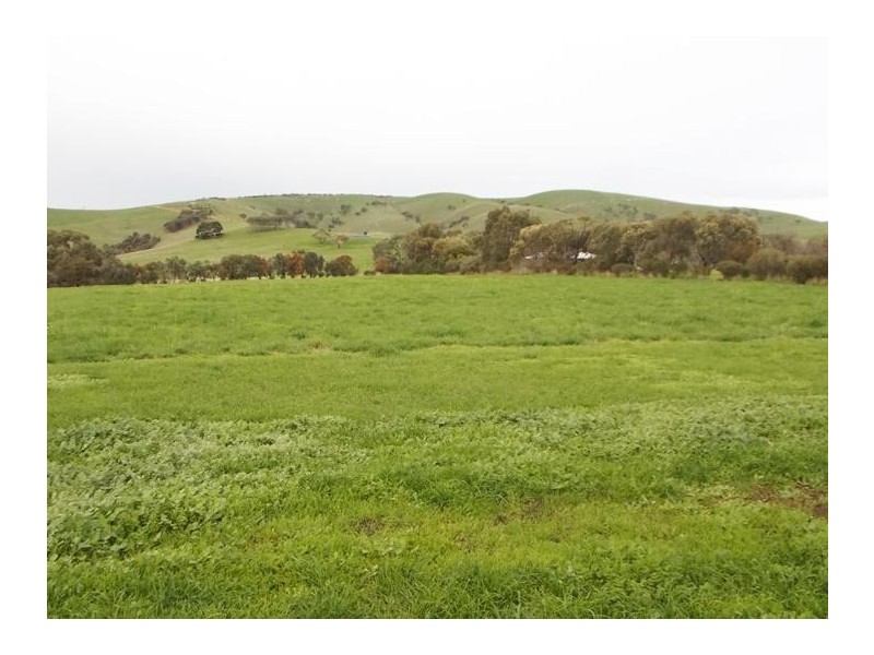 33 Louds Hill Road, Sellicks Hill SA 5174