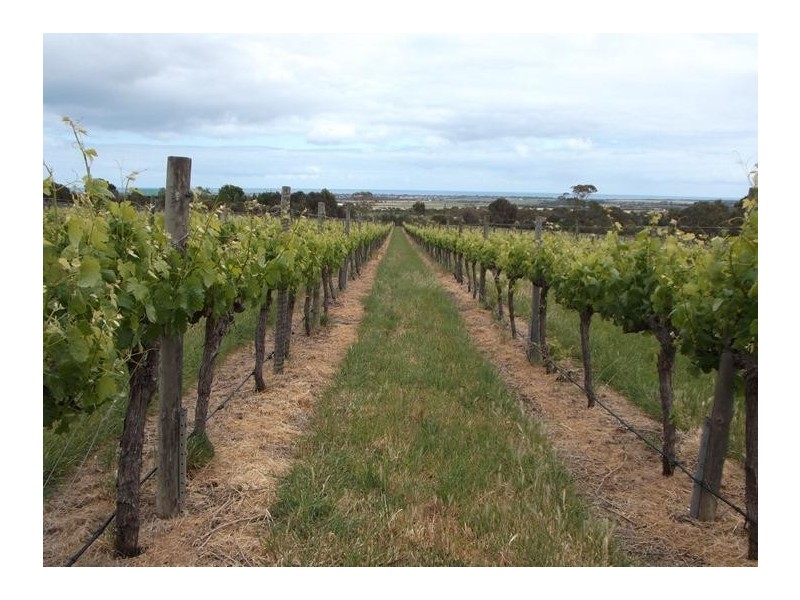 33 Louds Hill Road, Sellicks Hill SA 5174