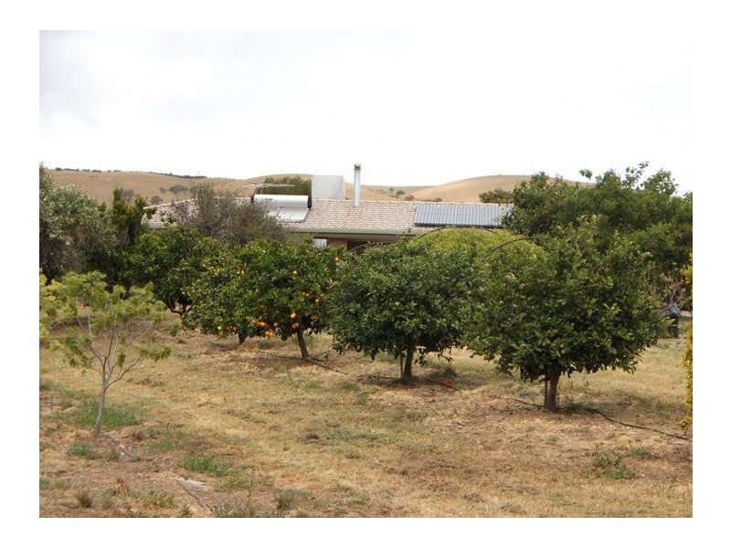 33 Louds Hill Road, Sellicks Hill SA 5174