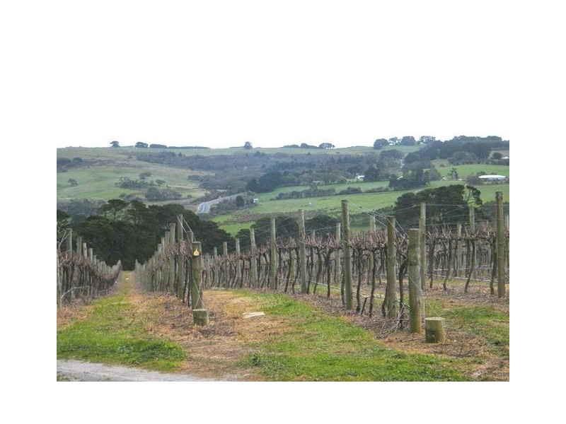 Lot 100 Victor Harbor Road, Mount Jagged SA 5211