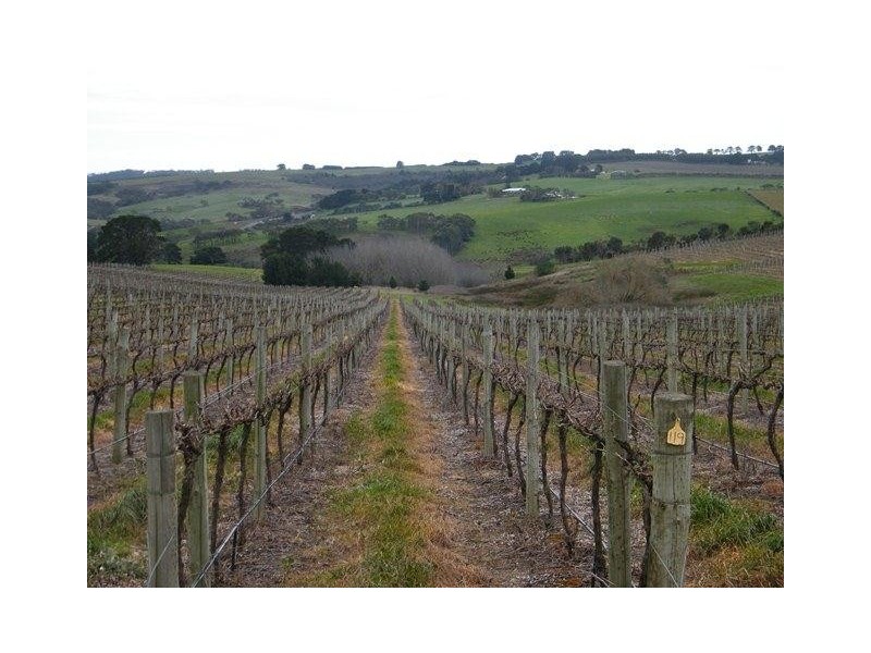 Lot 100 Victor Harbor Road, Mount Jagged SA 5211