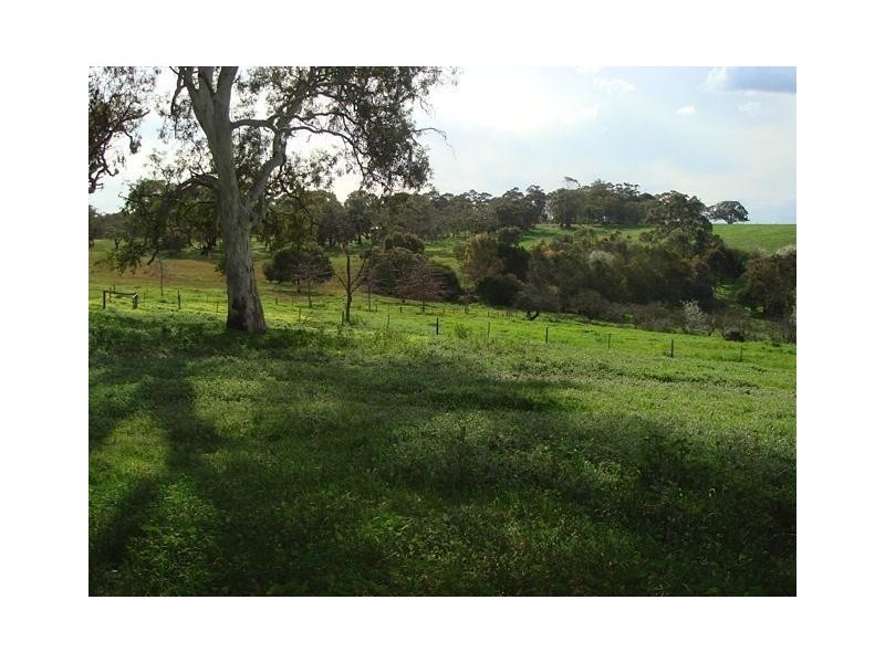 Lot 1 Kangarilla Road, Clarendon SA 5157