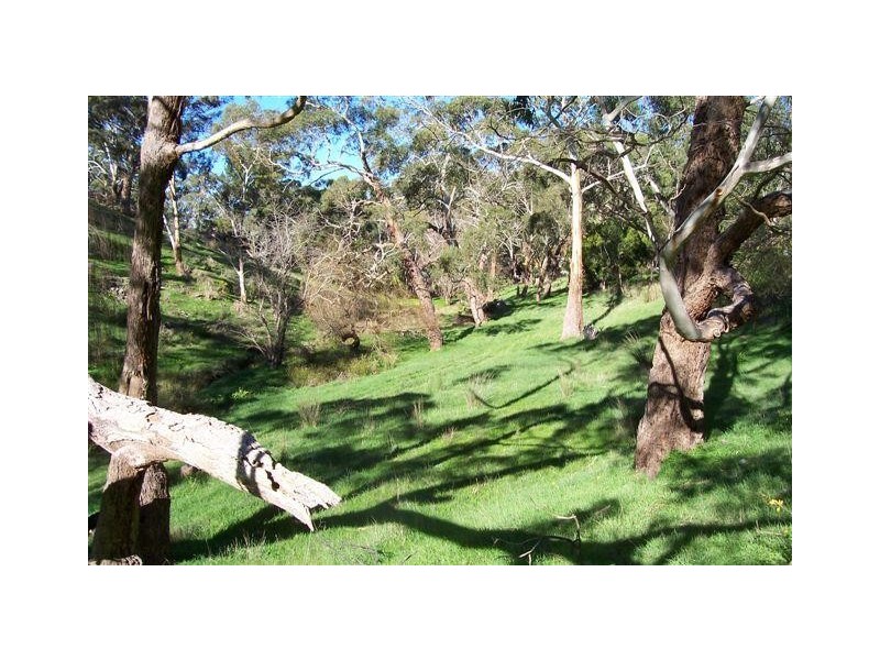 Lot 5 Dashwood Gully Road, Kangarilla SA 5157