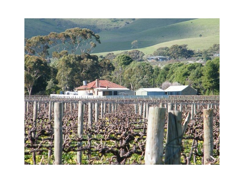 230 Ryan Road, Sellicks Hill SA 5174