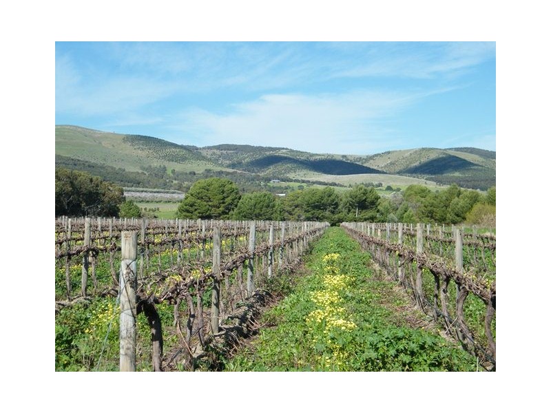 230 Ryan Road, Sellicks Hill SA 5174