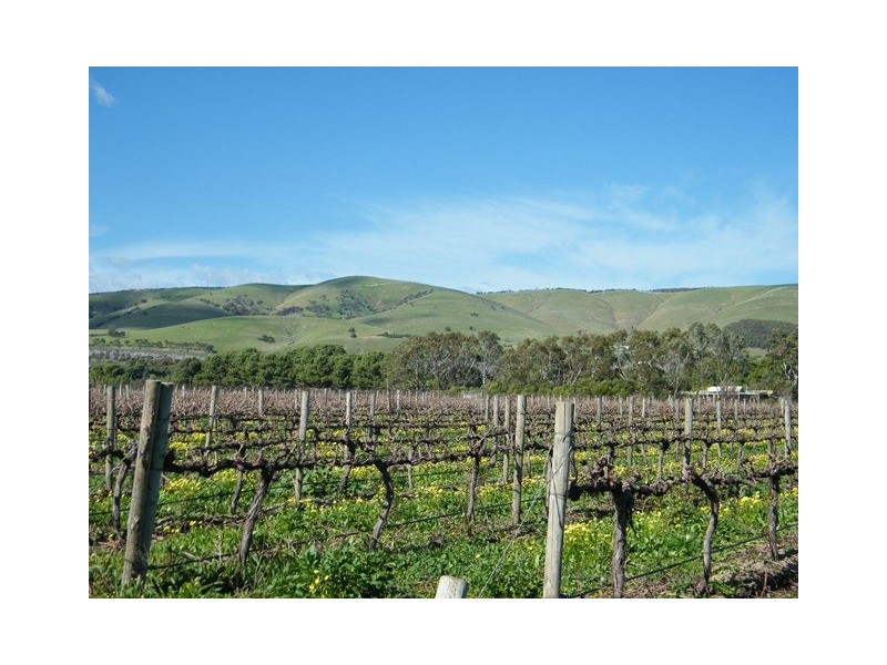 230 Ryan Road, Sellicks Hill SA 5174