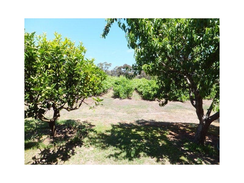 70 Trotts Road, Mclaren Flat SA 5171