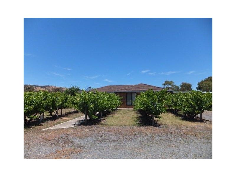 70 Trotts Road, Mclaren Flat SA 5171