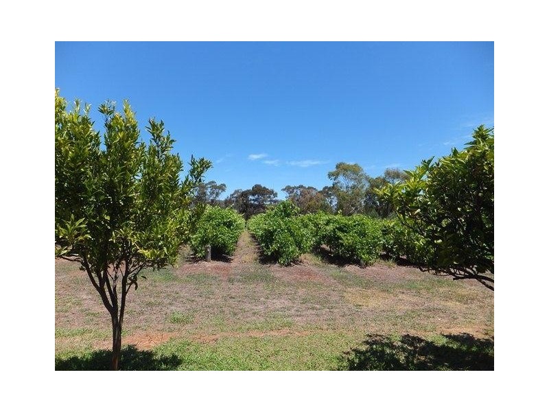 70 Trotts Road, Mclaren Flat SA 5171