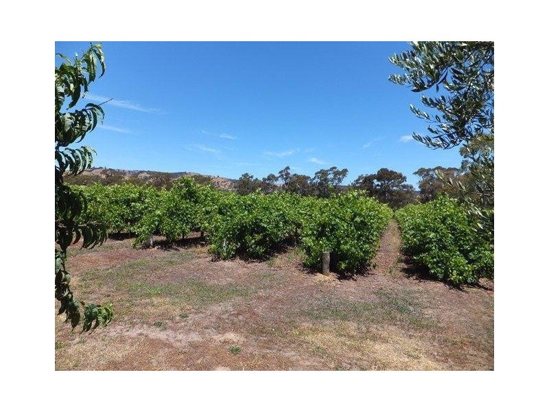 70 Trotts Road, Mclaren Flat SA 5171