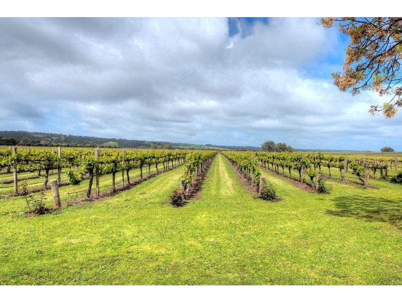 70 McLaren Flat Road, Mclaren Flat SA 5171