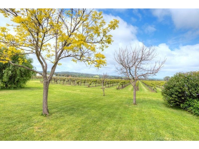 70 McLaren Flat Road, Mclaren Flat SA 5171