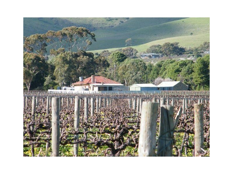 230 Ryan Road, Sellicks Hill SA 5174