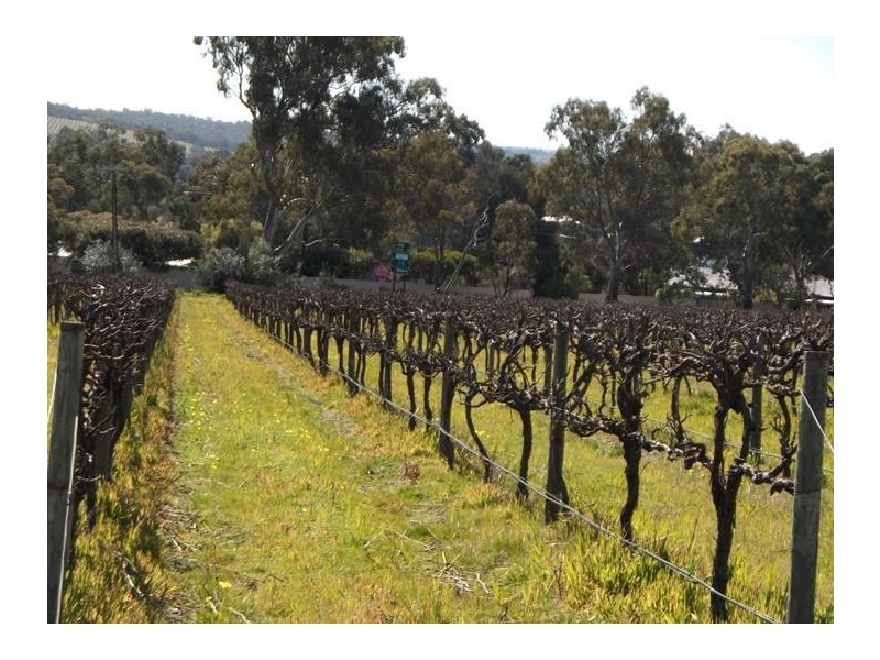 340 Kangarilla Road, Mclaren Flat SA 5171