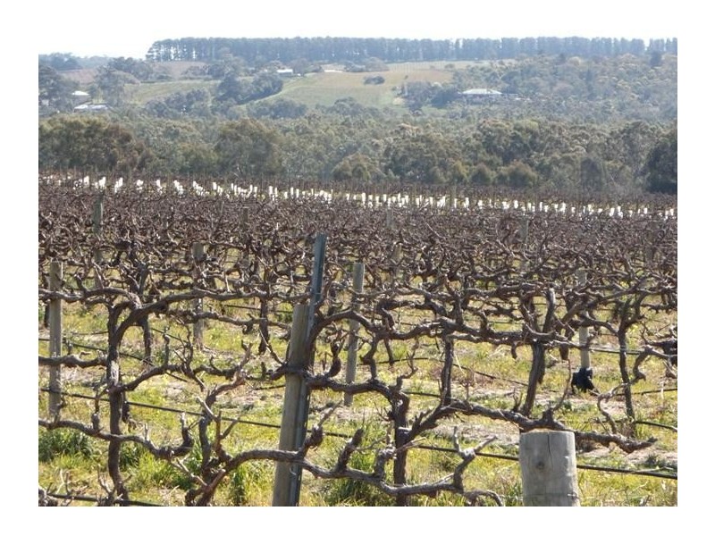 340 Kangarilla Road, Mclaren Flat SA 5171