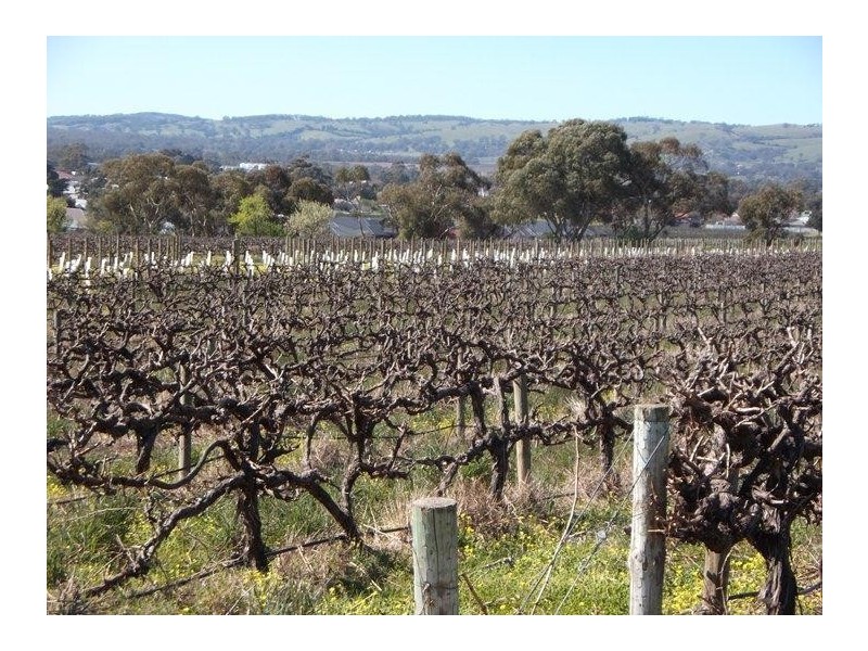 340 Kangarilla Road, Mclaren Flat SA 5171