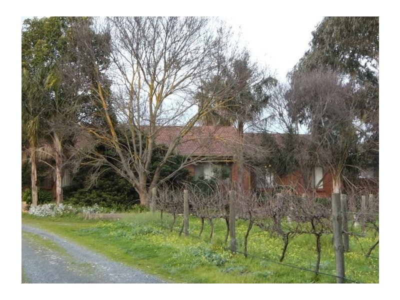 340 Kangarilla Road, Mclaren Flat SA 5171