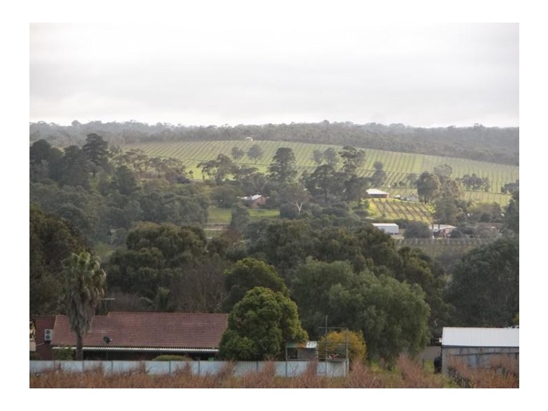 340 Kangarilla Road, Mclaren Flat SA 5171