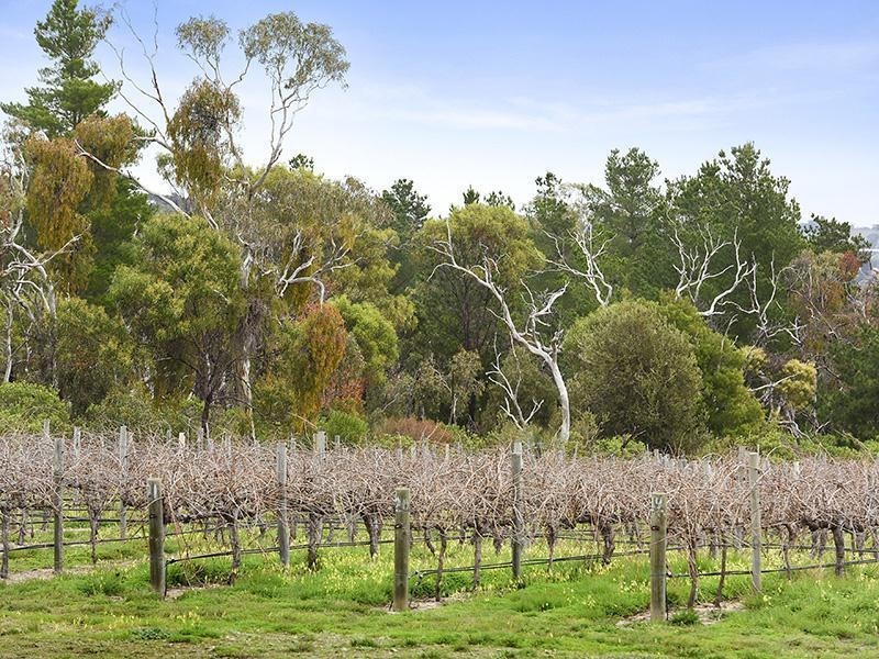 147 Foggo Road, Mclaren Flat SA 5171