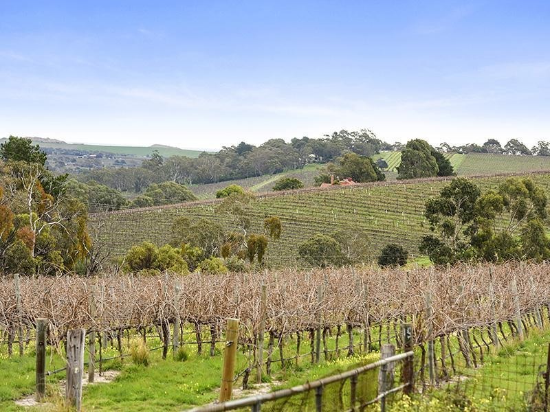 147 Foggo Road, Mclaren Flat SA 5171