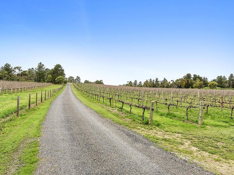 147 Foggo Road, Mclaren Flat SA 5171