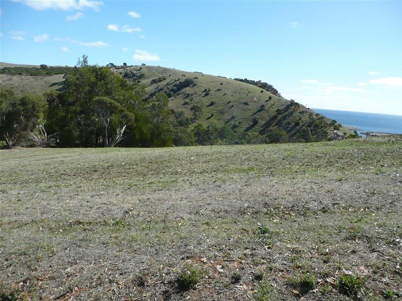 53 Seaview Avenue, Wirrina Cove SA 5204