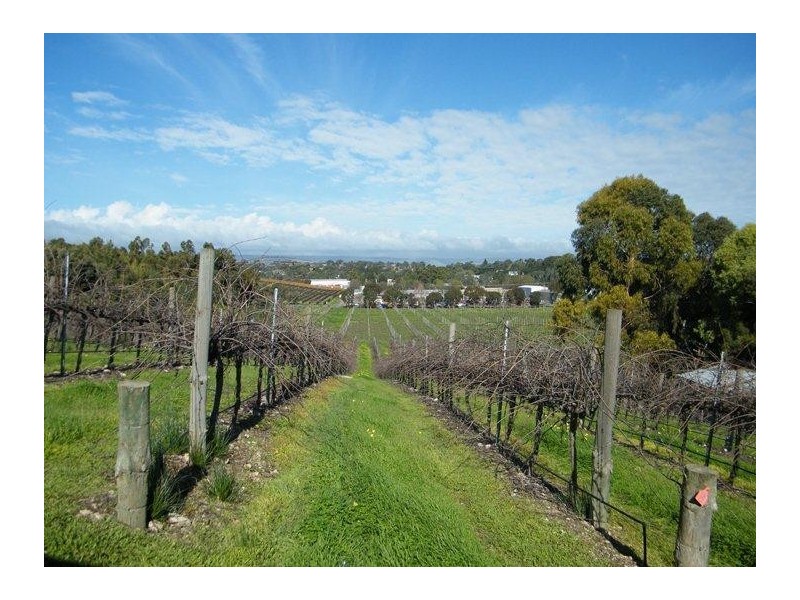 Mclaren Vale SA 5171