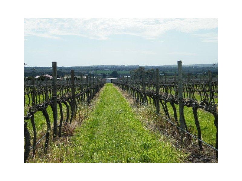 Lot 366 Colville Road, Whites Valley SA 5172