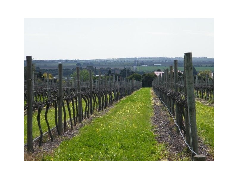 Lot 366 Colville Road, Whites Valley SA 5172