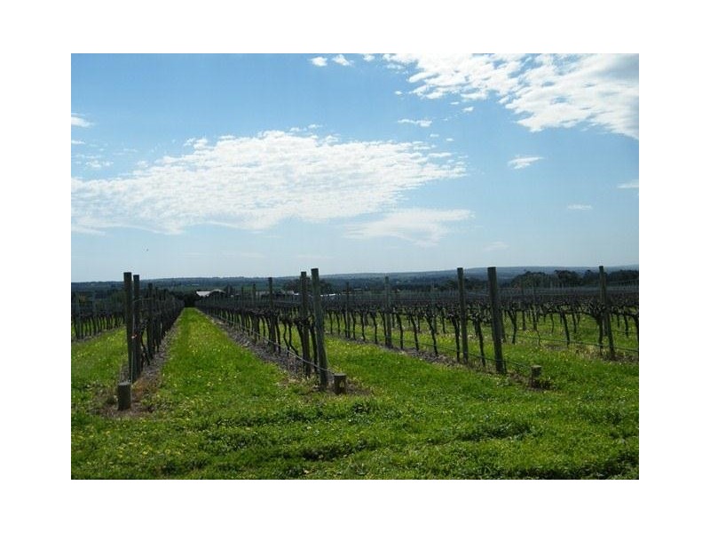 Lot 366 Colville Road, Whites Valley SA 5172