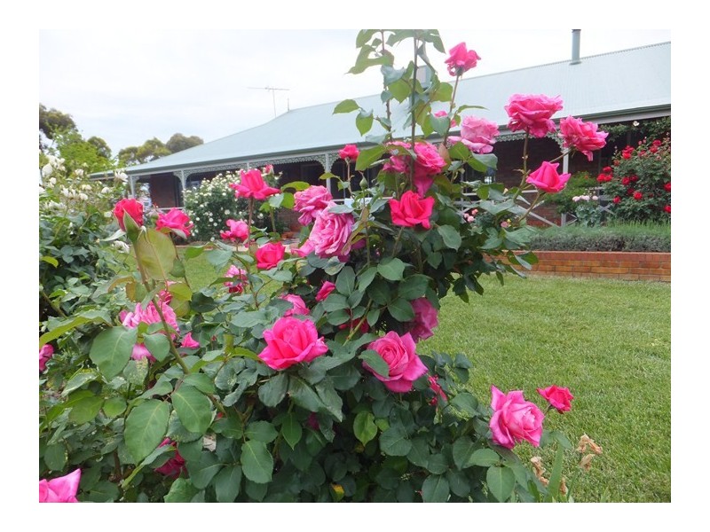 61 Branson Road, Mclaren Vale SA 5171