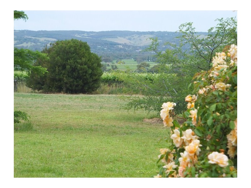 61 Branson Road, Mclaren Vale SA 5171