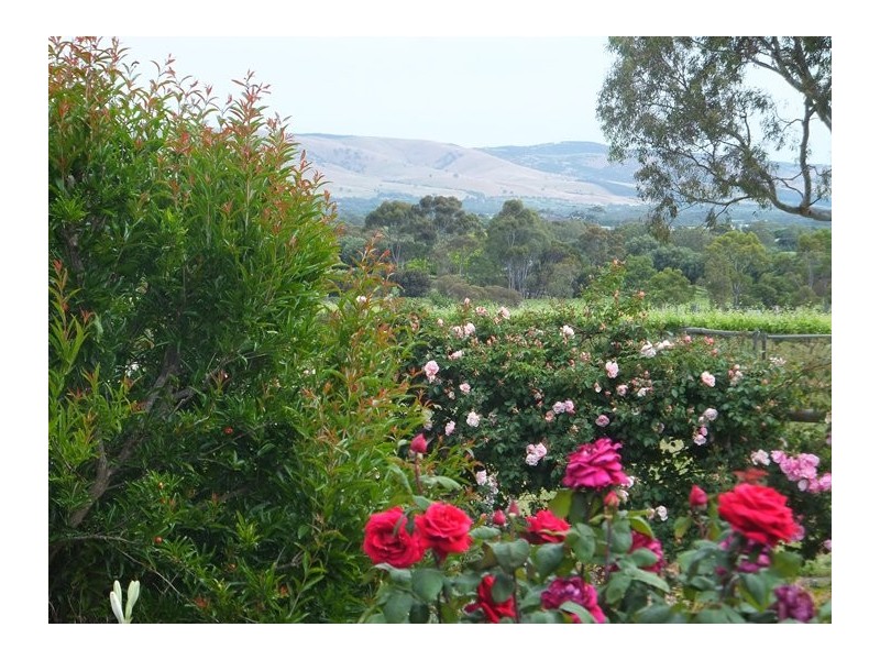 61 Branson Road, Mclaren Vale SA 5171