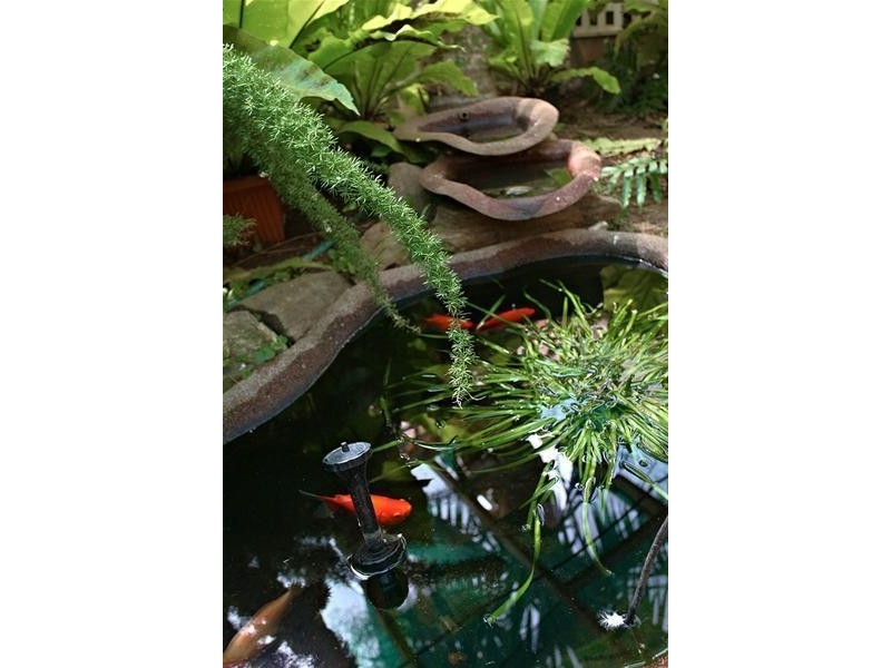 3 Avocet Street, Seaford Rise SA 5169