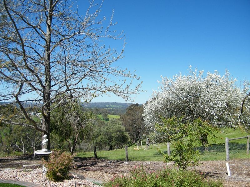 31 Tebbutt Road, Clarendon SA 5157