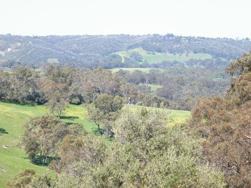 31 Tebbutt Road, Clarendon SA 5157