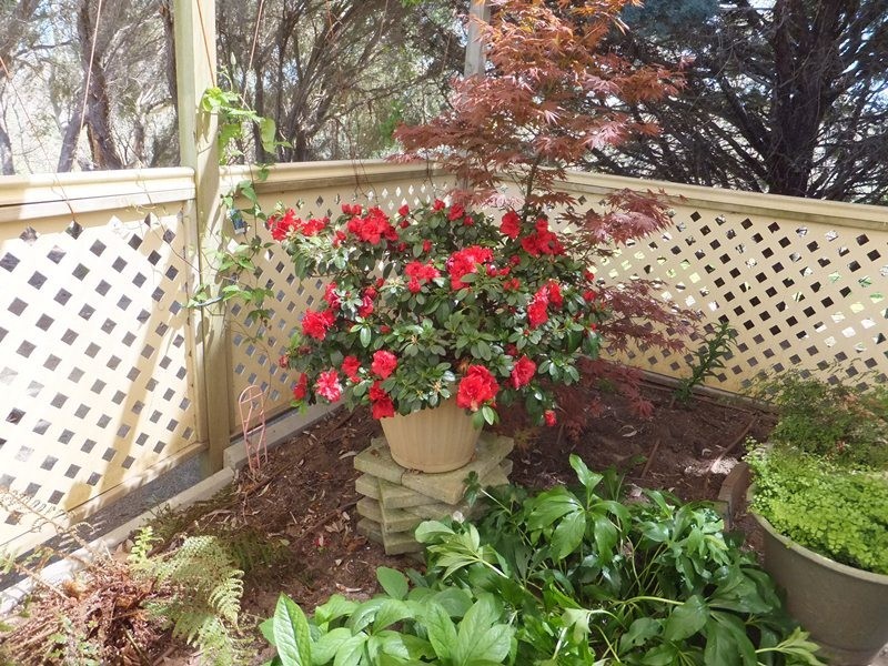 31 Tebbutt Road, Clarendon SA 5157