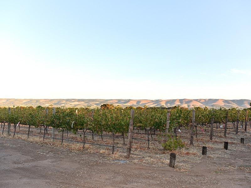 377 Old Coach Road, Aldinga SA 5173