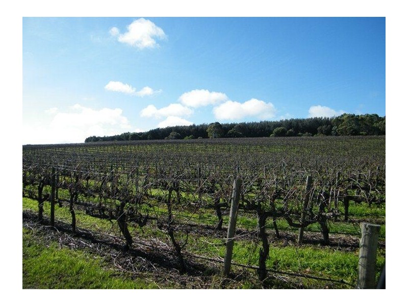 Mclaren Vale SA 5171