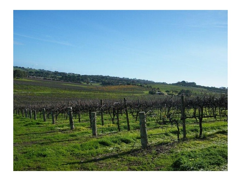 Mclaren Vale SA 5171