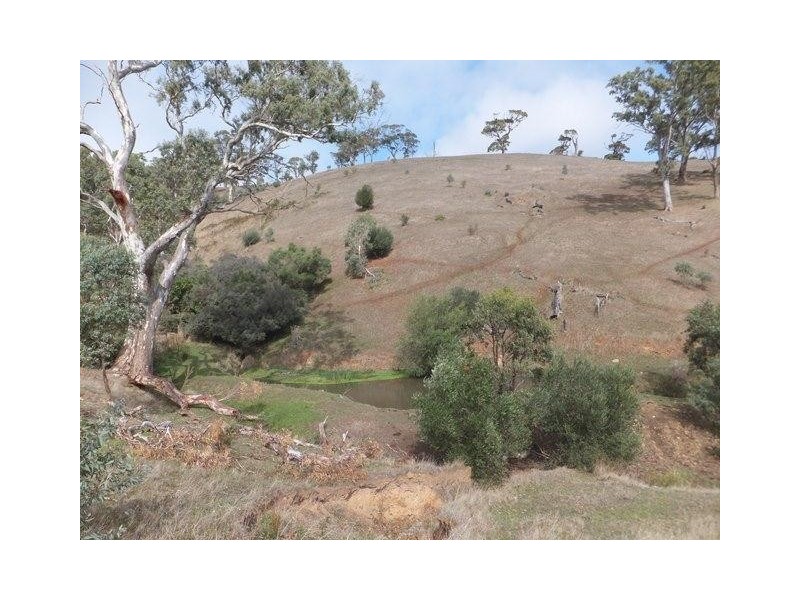 22 Connors Lane, Mclaren Flat SA 5171