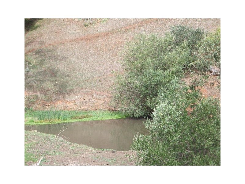 22 Connors Lane, Mclaren Flat SA 5171