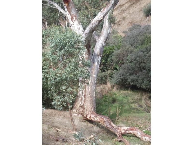 22 Connors Lane, Mclaren Flat SA 5171