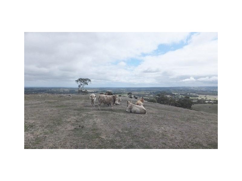 22 Connors Lane, Mclaren Flat SA 5171