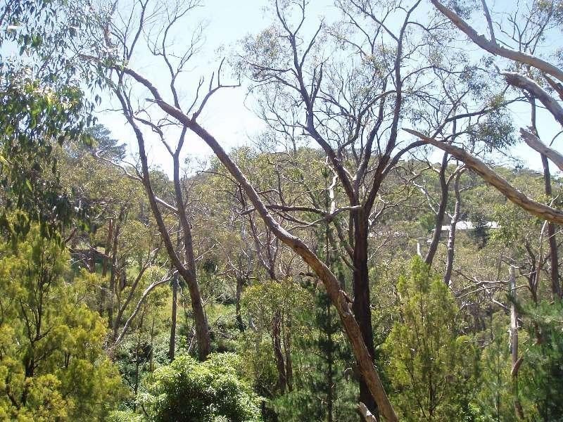 99 Upper Sturt Road, Upper Sturt SA 5156