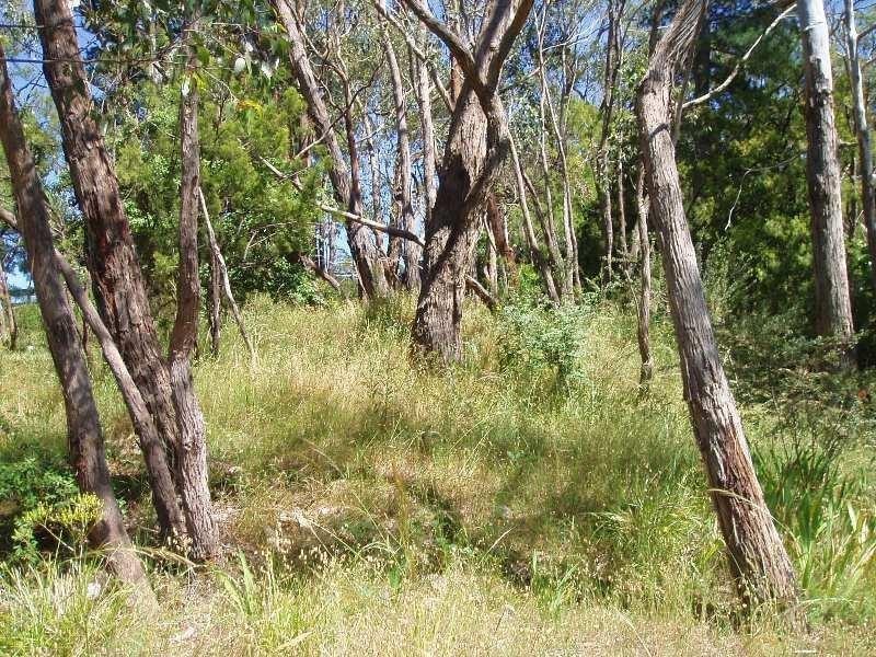 99 Upper Sturt Road, Upper Sturt SA 5156